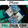 Pfizer viagra5